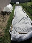 Le jardin avec ces protection. La planche de salades est recouverte par un long P30. Sur la gauche, le mini tunnel qui protège les haricots verts et au fond celui des courgettes.