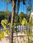 IMG_20170419_161813.jpg