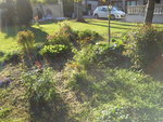 Photo3