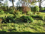 Photo4