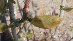 20170420_135900.jpg