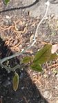 20170420_135726.jpg