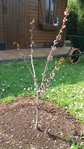 20170420_135942.jpg