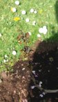 20170420_135957.jpg