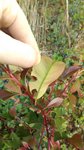 download_20170420_203958.jpeg