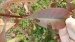 download_20170420_204004.jpeg