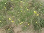 IMG_0462.JPG
