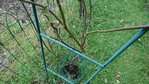 _20170424_145741.JPG