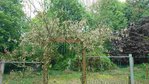 _20170424_145924.JPG