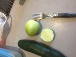 IMG_4574.JPG