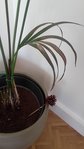20170423_175139.jpg