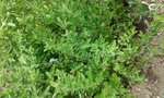 20170427_141023.jpg