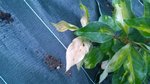 WP_20170501_002.jpg