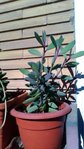 P_20170430_171203.jpg