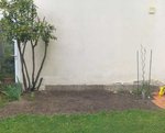 potager-sans-cloture.jpg