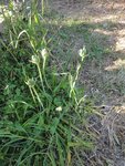 DSC01118 - Copie.JPG