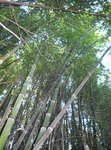 DSCN2046.JPG