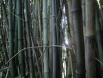 DSCN2047.JPG