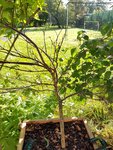 20170509_092222.jpg