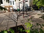 20170509_092251.jpg