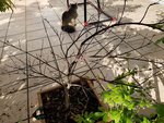 20170509_092311.jpg