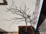 20170509_095842.jpg