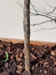 20170509_095849.jpg