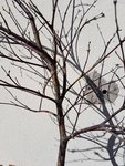 20170509_095854.jpg