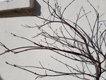 20170509_095901.jpg