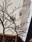 20170509_095907.jpg