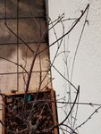20170509_095917.jpg
