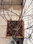 20170509_095921.jpg