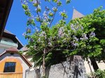 DSC00076.jpg
