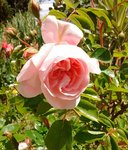 IMG_20170511_124906.jpg
