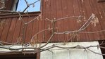 IMG-20170501-WA0001.jpg
