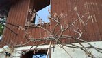 IMG-20170501-WA0002.jpg