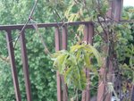 20170512_124746-min.jpg