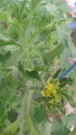 20170510_184122.jpg