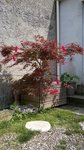 WP_20170508_003 copie.jpg