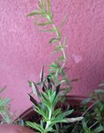 20170512_185819.jpg