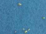 P_20170513_105201.jpg