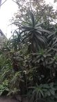 20170404_115617.jpg