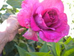 DSCN7692.JPG