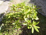 P1010157.JPG