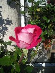 DSCN4647.JPG