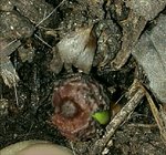 IMG_20170515_183736.jpg