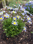 20170513_092730.jpg