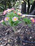 20170513_092800.jpg