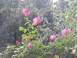 DSCN4615.JPG