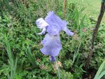 2017-05-19_MARY FRANCES.jpg